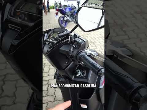 Thumbnail vídeo