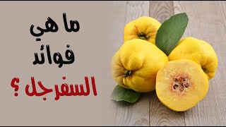ما هي فوائد السفرجل ؟