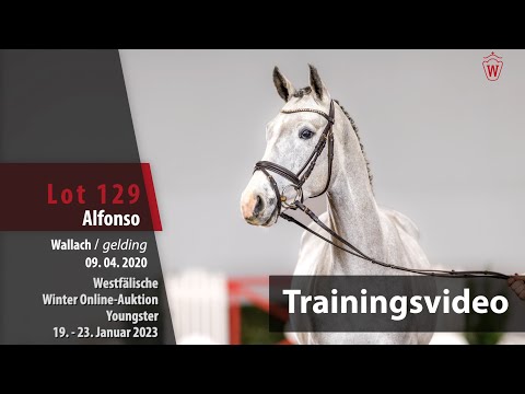 Winter Online-Auktion Training Lot 129 Alfonso Wallach v. Aviador - Calmaro