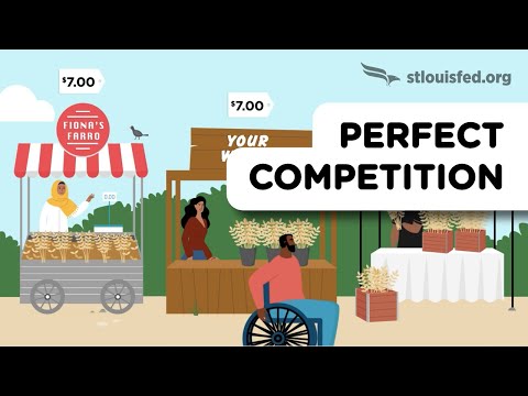 Introduction to Perfect Competition | Economics Explained