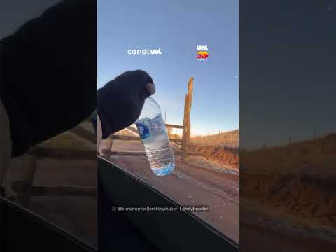 Água congela em segundos durante frio de -6°C na Serra Catarinense