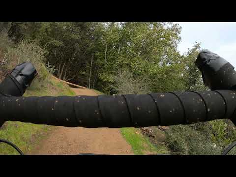 What is the best gearbox bike to start with? The Priority 600 It is not just for New Yorkers! Pinion