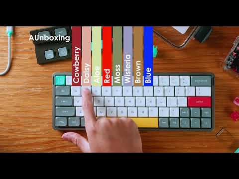 NuPhy Air60 V2 | Switch Test | ASMR @nuphystudio