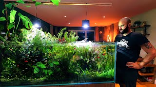 After 253 Days, What Has Happened To My Home Ecosystem Aquarium