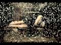 AMBRAN DA CHAN Mp4