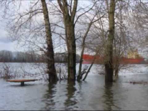 Howling Gael - Chicken on a Raft