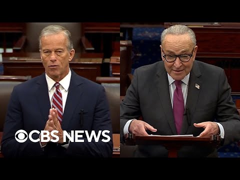 Thune and Schumer address government shutdown on Day 21
