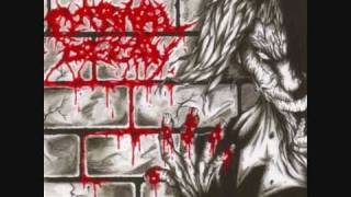 Carnal Decay - Shotgun Facelift