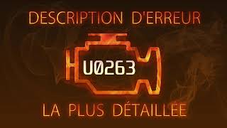 Значение dtc u0263