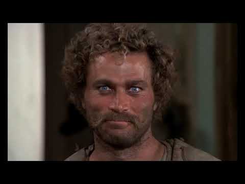 cibule nebo pistole?