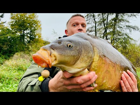 Große Karpfen im Tal des Todes!