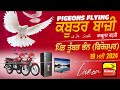🔴[LIVE] Kabootar Bazi / कबूतर बाजी / ਕਬੂਤਰ ਬਾਜ਼ੀ / Pigeon Flying / TUMBER BHAN 