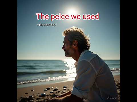 The pelce we used: cip: Ignas Naar 