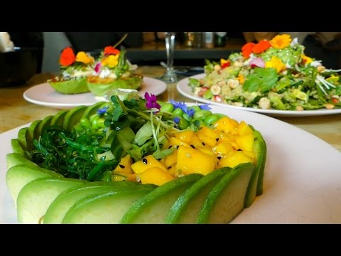 download lagu mp3 mp4 Avocado House Amsterdam, download lagu Avocado House Amsterdam gratis, unduh video klip Avocado House Amsterdam