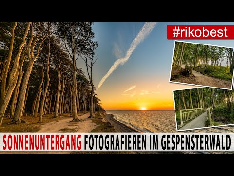 Sonnenuntergang richtig fotografieren im Gespensterwald - Fotowalk an der Ostseeküste bei Nienhagen
