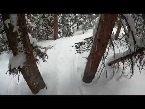 ski copper through trees far west Jan 24 2024