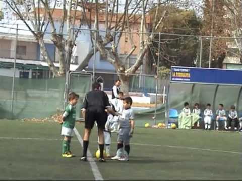 Resumen Sur Fundacion CCF - Apademar.avi