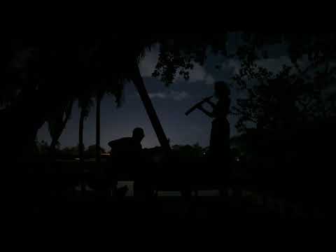 ชอลิ้วเฮียง (จอมโจรเหยียบแสงจันทร์ทิ้งความหอม) version. แซกดัง - Boy Imagine's กะ Aek Wild Sax