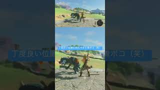 4/11配信のハイライト。完璧な青ボコ退治w #ゲーム実況 #ゼルダの伝説ブレスオブザワイルド