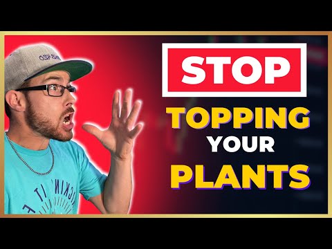 STOP TOPPING your PLANTS!!