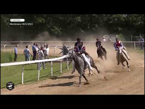 CORSE DI ADDESTRAMENTO - MONTICIANO 30 Maggio 2023