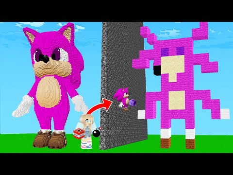 YAPI KAPIŞMALARINDA KIZ BEBEK SONİC'İ HİLE İLE TROLLEDİM! - 😨 Minecraft