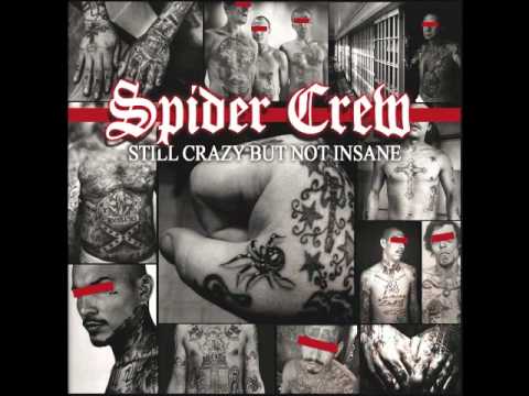 spider crew-Still Crazy But Not Insane.wmv