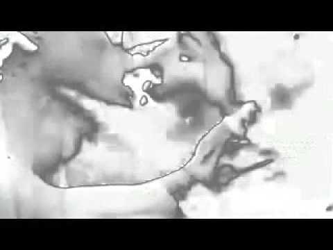 Priest - Hunter Acid [Longway Records]