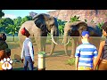 Can T Educate Guests In Planet Zoo Watch This
