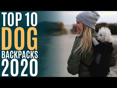 Top 10: Best Dog Backpacks for 2020 / Dog Carrier Backpack for Small Dogs and Cats / Pet Backpack