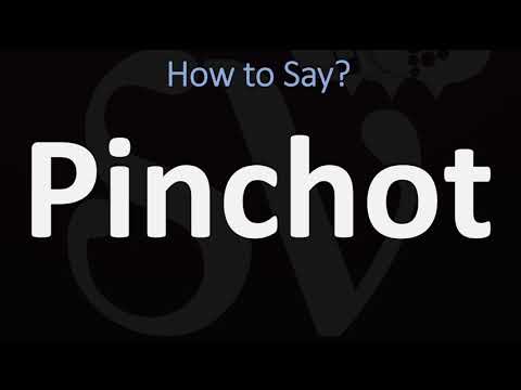 How to Pronounce Pinchot? (CORRECTLY)
