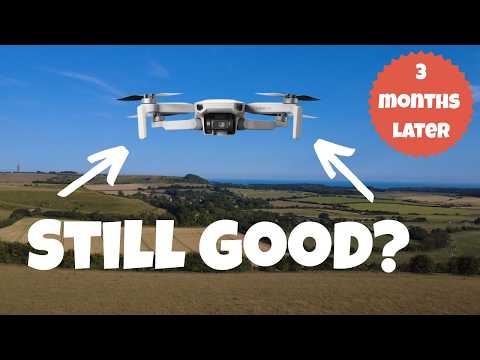 DJI Mini 4K – Worth It After 3 Months?