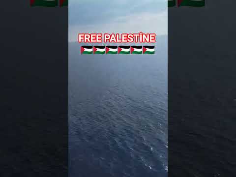 🇵🇸🇵🇸🇵🇸🇵🇸🇵🇸🇵🇸💪💪💪💪💪🤲🤲🤲🤲🤲