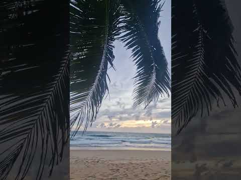 #phiphi#phiphiislands#swing#thailand#asia#phiphiisland#tajlandia#azja#travel#waves#beachvibes#beach