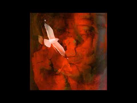 MICU PRINZZ - MANECHIN (AUDIO)