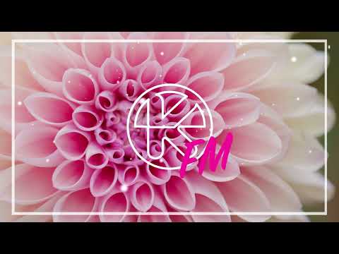 Markus Gardeweg & Roy Stroebel - Sober