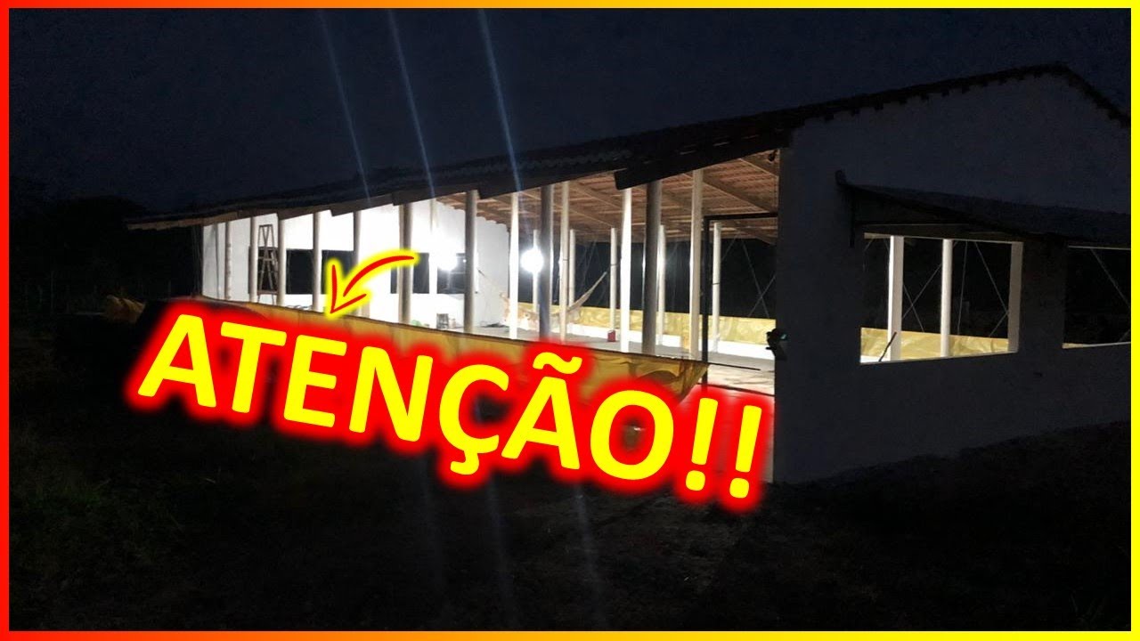Atenção ao Programa de Luz para Frangas de Poedeiras Caipiras