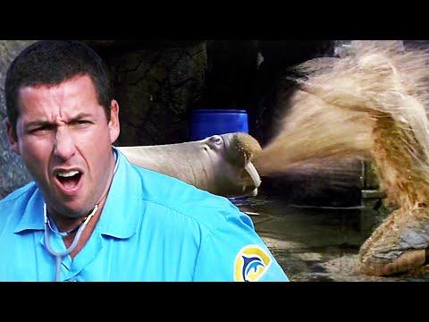 Adam Sandler's Vomiting Walrus Incident