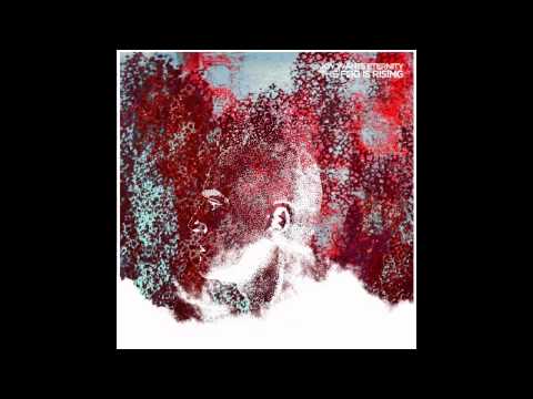 Joy Wants Eternity - Dark Heart of the King