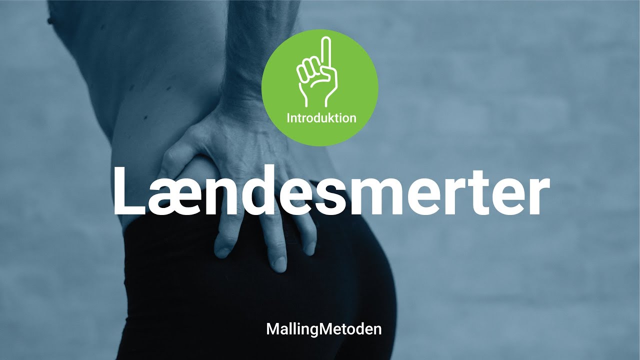 Lændesmerter introduktion