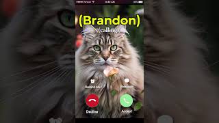 Download lagu Brandon is calling you back #shorts #viral mp3
