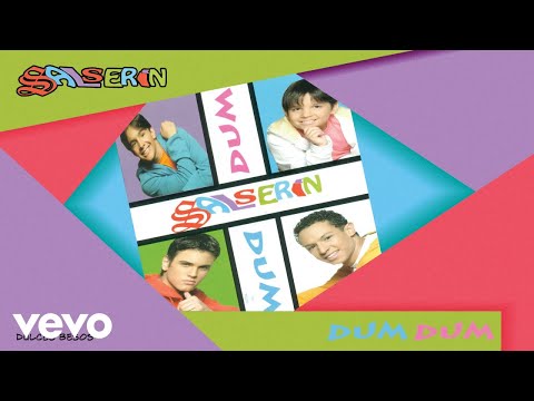 Salserin - Dulces Besos (Audio)