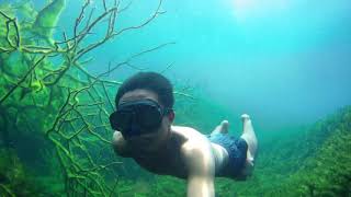preview picture of video 'Free Dive di Mata Air Umbulan Pasuruan'