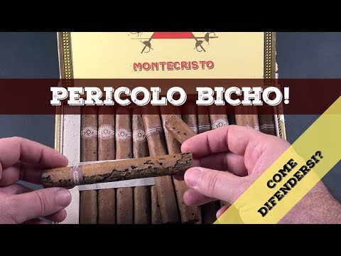 Lanalisi di un lyambliya in invitro La targa da vermi come dare a una sfinge