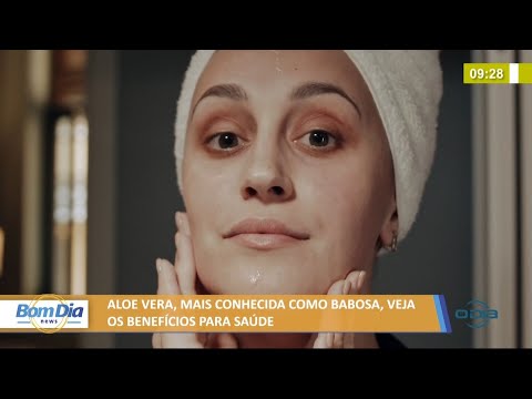 Veja os benefícios da babosa (aloe vera) para a saúde 04 06 2021