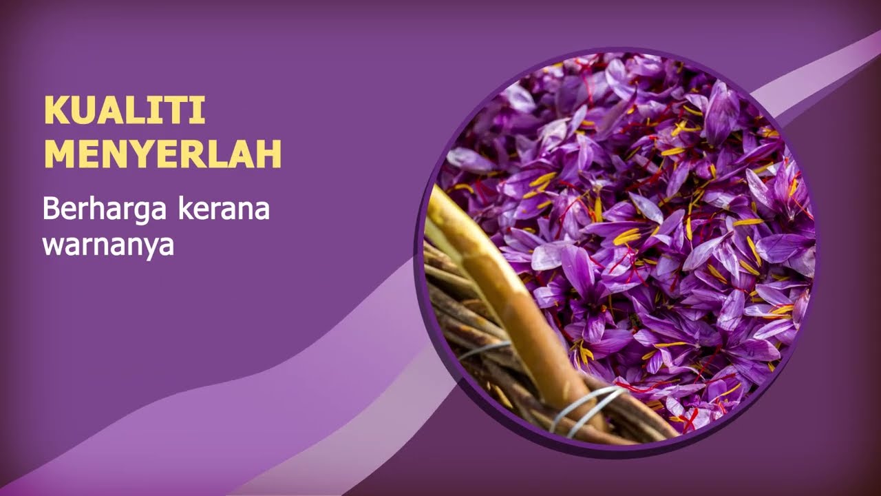 KROKOS KOZANIS (MALAY)