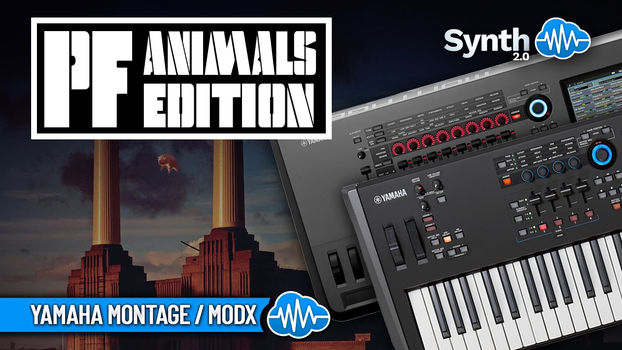 SCL651 - PF Mega Bundle V2 - Yamaha MODX / PLUS / M - Video Preview 14