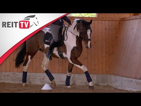 Reiten lernen: Bahnfiguren - Ganze Bahn / Halbe Bahn