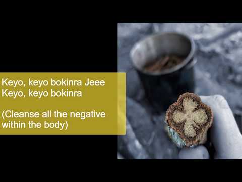 "Nokon Kano" Ayahuasca Shipibo Icaro (with English translation) | Don Miguel of Aya Healing Retreats