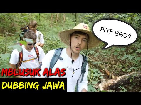 DUBBING JAWA MrBeast (mblusuk alas)